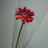 k_s_min's profile image