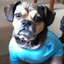 Fay Cook - @fajogero - Twitter