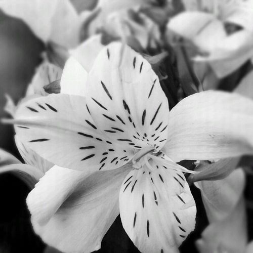 NicoleHungria's profile picture. Cine +Instagram = Me.