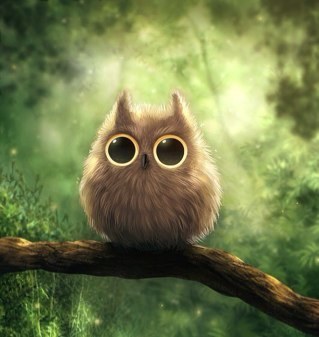 lidaaa's profile picture. 