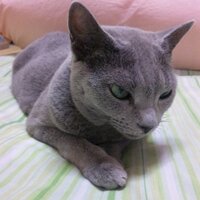 栗田 圭 (@kuritakei) 's Twitter Profile Photo 栗田 圭 (@kuritakei) 's Twitter Profile Photo