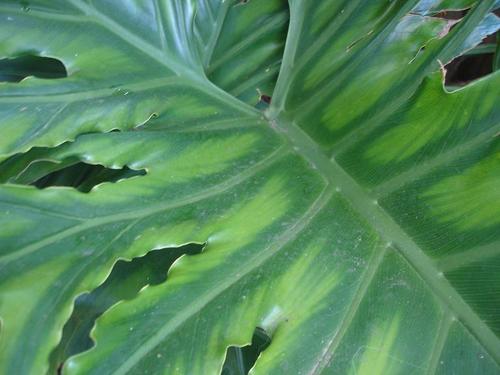 POSurvivor's profile picture. Parent to a Toddler who Survived Abuse.  Looking for daily inspiration to help them through it...