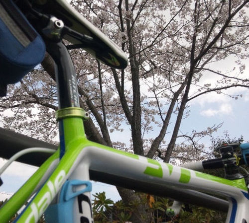 へたれおやぢ