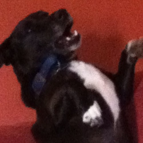 KathiHankinson's profile picture. 