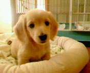 yukkom3322's profile picture. 市大看護4回生☆ラグ部マネ♪