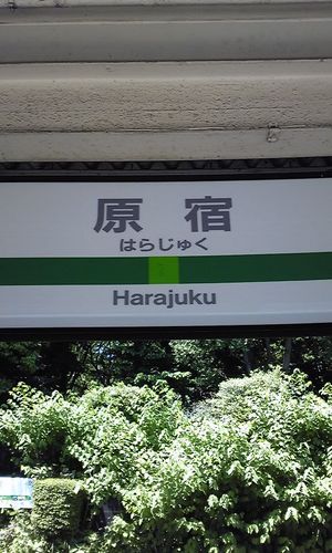 yasvvvv's profile picture. 