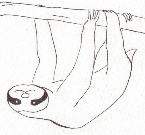 riots_i's profile picture. マンガ、美術、音楽などが好き。