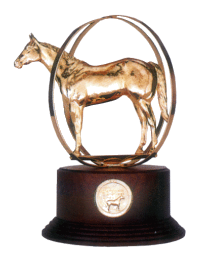 Follow me for all the drama, show results, and anything else that is happening at the major AQHA and NSBA shows and futurities.