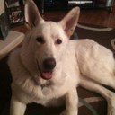 Sandra Petrie - @PetrieSandra - Twitter