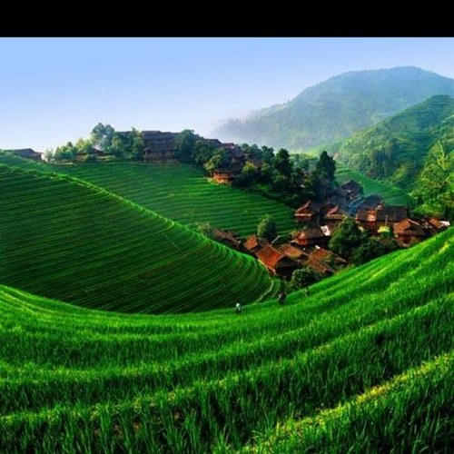 diala_w's profile picture. 