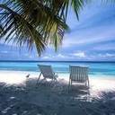 Barbara Pickard - @BarbPickard - Twitter