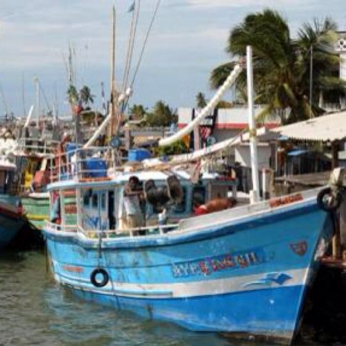 nauticalgypsies's profile picture. Explore, learn, improve, repeat..........