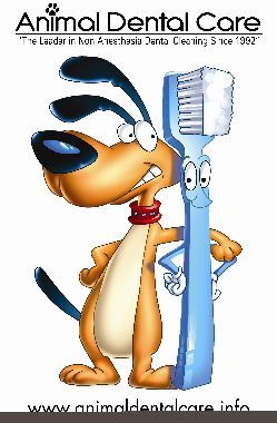 The Leaders in Non-Anesthetic Dental Cleanings Since 1992