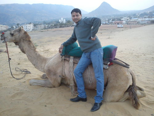 VikasSapfico's profile picture. 