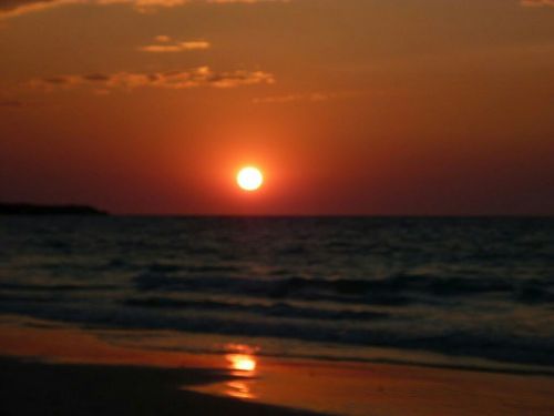 GanleySinead's profile picture. 