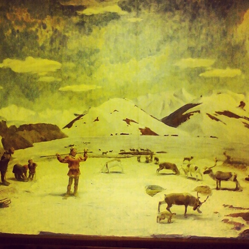 partisan61's profile picture. 