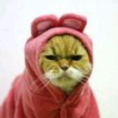 青木まどか 1 Apwyz Twitter 青木まどか 1 Apwyz Twitter