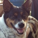 Mary Schmalz - @schmalzster - Twitter