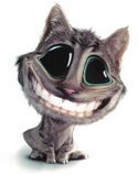sorriam para o gato aqui