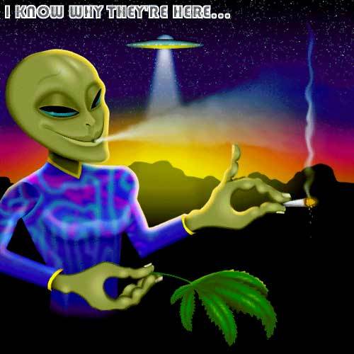 Smoking weed · In outer space · Doing Digital Humanities · In your face