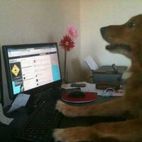Nothing (@deporabl) 's Twitter Profile