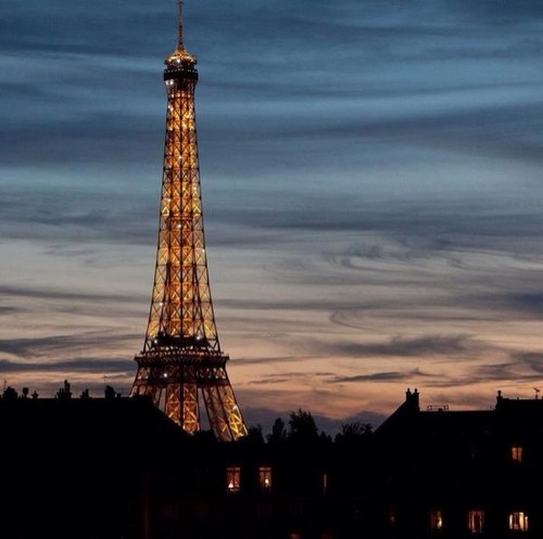 rosaromanotosca's profile picture. 