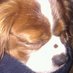 susan m scurr (@susanmscurr) Twitter profile photo