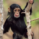 Lewis Bates - @LewisBates8 - Twitter