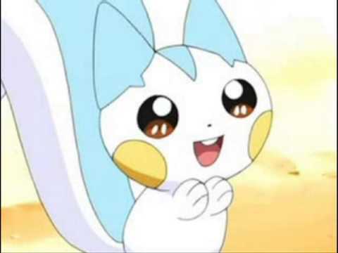 Luna_pachirisu's profile picture. Fui muchas cosas raras, pero ahora soy una pachirisu enamorada de una corsola shiny y mi único sueño es estar siempre con ella y hacerla feliz ♥