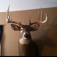 Nic Ebert (@ebert5510) 's Twitter Profile
