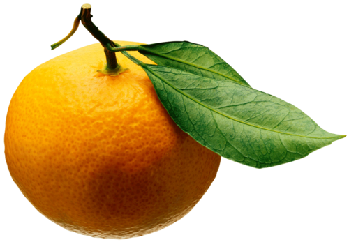 OrangeSoftware's profile picture. Front End Engineer... here and there!