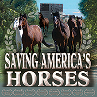 Saving America's Horses
Freedom for America's Horses from roundups, slaughter and other forms of cruelty and malicious harm. 
Make a Difference - Stand With Us