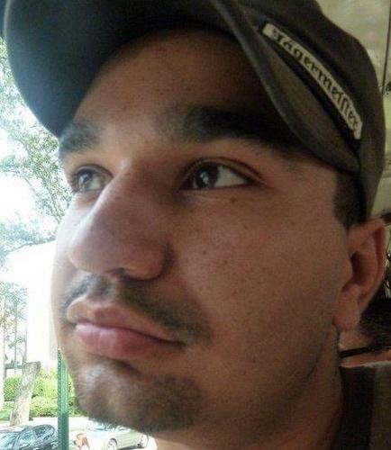 PepeTheCat's profile picture. 