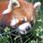 Avatar of こーじ