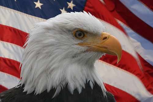 dwhume1's profile picture. 