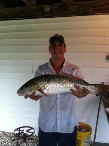 harrisonbryant's profile picture. redefining rippin.