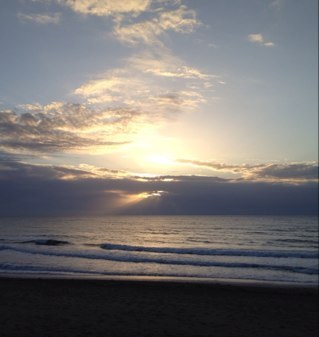 BAMAFTBLRTR's profile picture. 