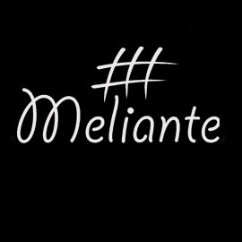 Marca de Roupas Femininas Estilo PinUP. Ser Meliante é vestir com atitude. Criamos peças modernas sem perder a malandragem.