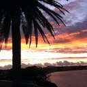 Fraser Davidson - @fdavidson - Twitter