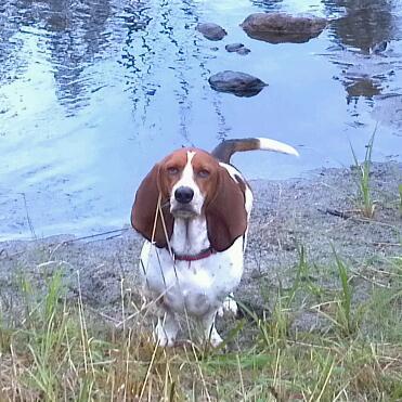 Lwalden123's profile picture. 