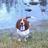 Lwalden123's profile image