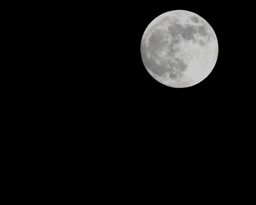 antoniuttiphoto's profile picture. 