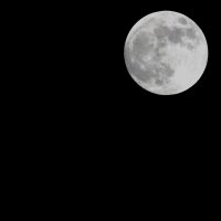 antoniuttiphotograph (@antoniuttiphoto) 's Twitter Profile Photo
