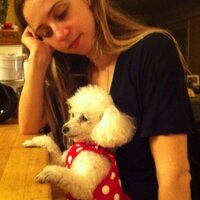 zoe kazan(@zoeinthecities) 's Twitter Profile Photo