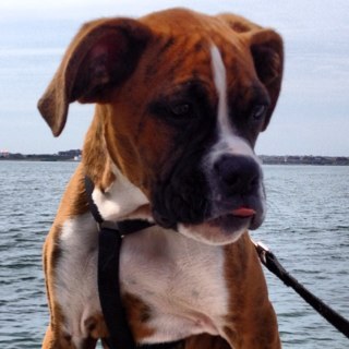 Kileym21's profile picture. 