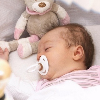 TheStephyC's profile picture. I'm a little girl trying to find her place in this world. No family. ~3weeks old~