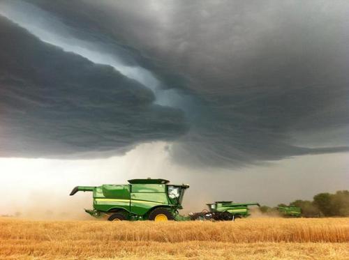 Father of 2, Farmer, Custom Harvester and  Trucker