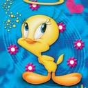 Adeline Kelly - @Adeline_Kelly - Twitter