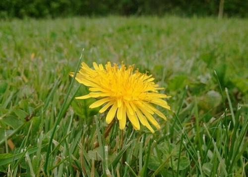 brdy37's profile picture. 