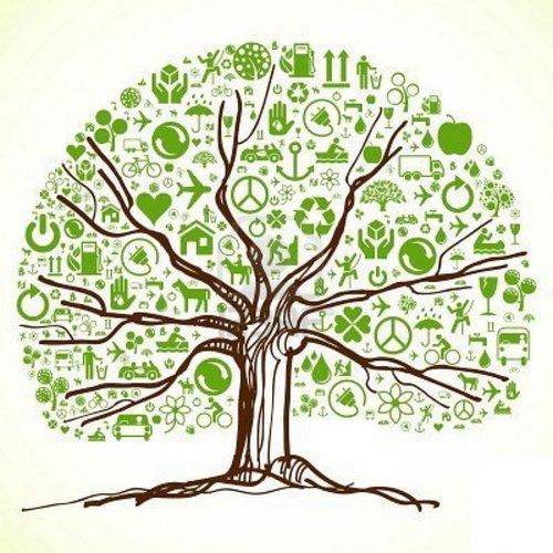 Friends of Sustainability, Technology, Environment and Renewables (FOSTER)